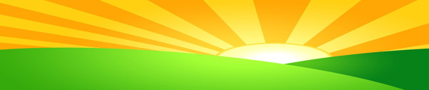 sunlight