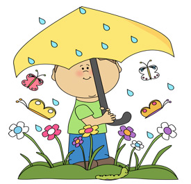 umbrella